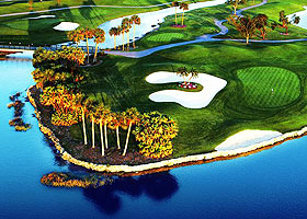 Palmer #18